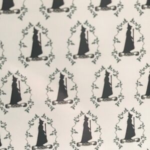 Wicked soft plush throw blanket with the witch Elphaba 50x70 in